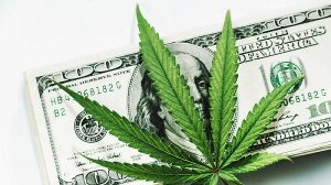 Taxing Legalized Marijuana